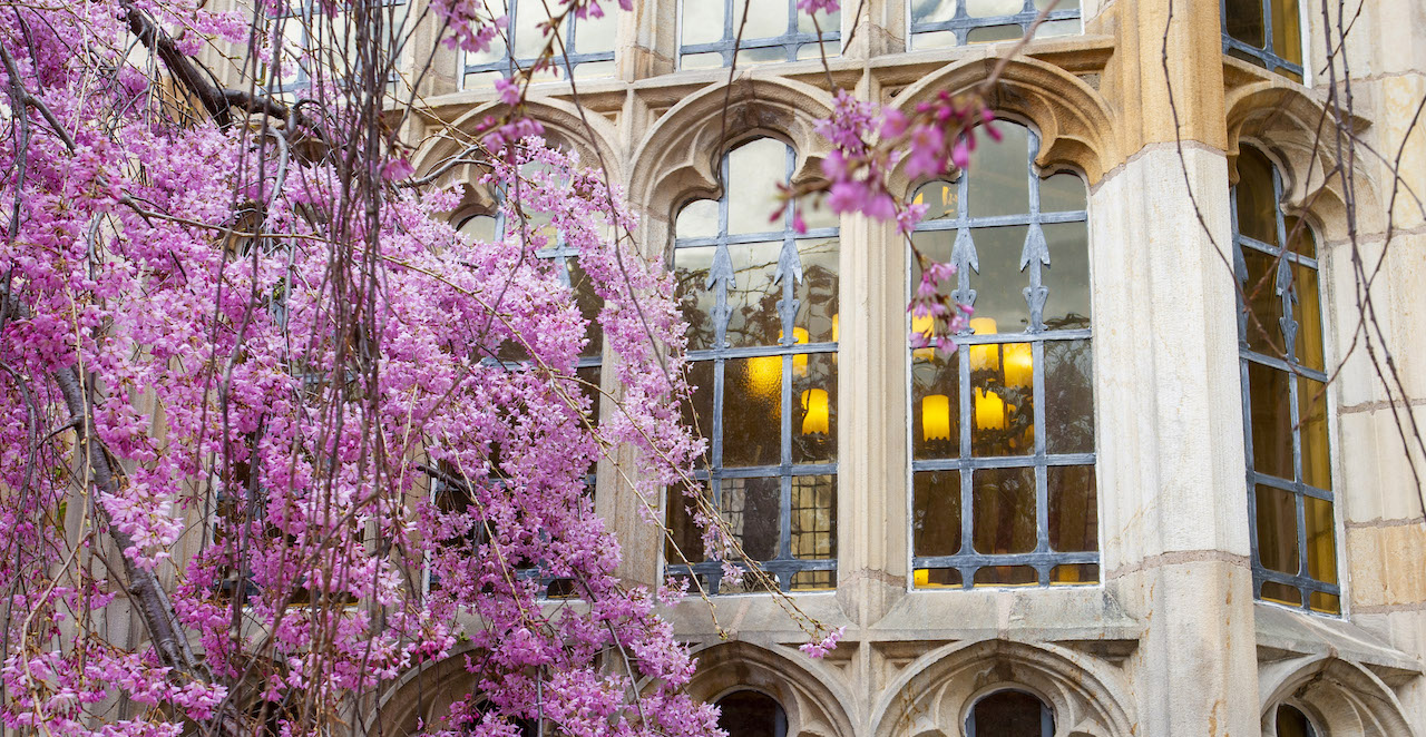 Yale Commencement